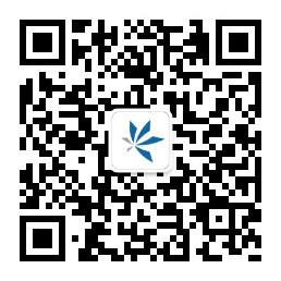 虎扑足球